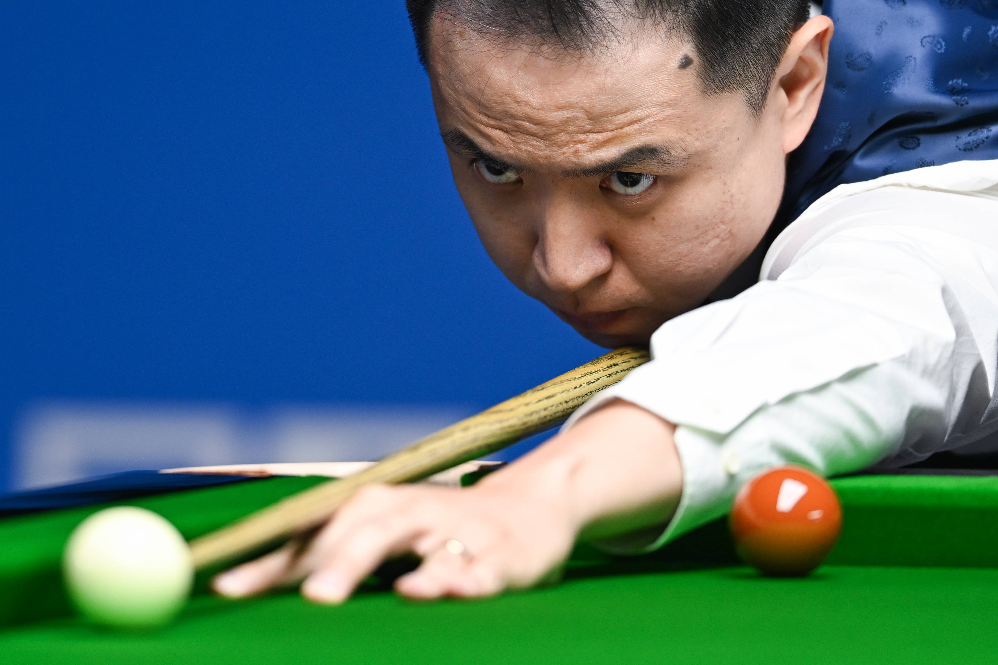 的职业生涯 的职业生涯